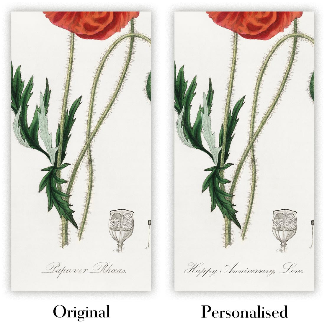 Image showing the difference between an Original map and a Personalised map